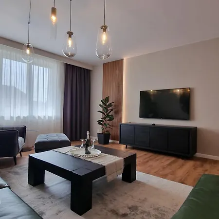 Nico'S Stylish Apartment Satu Mare Exterior photo